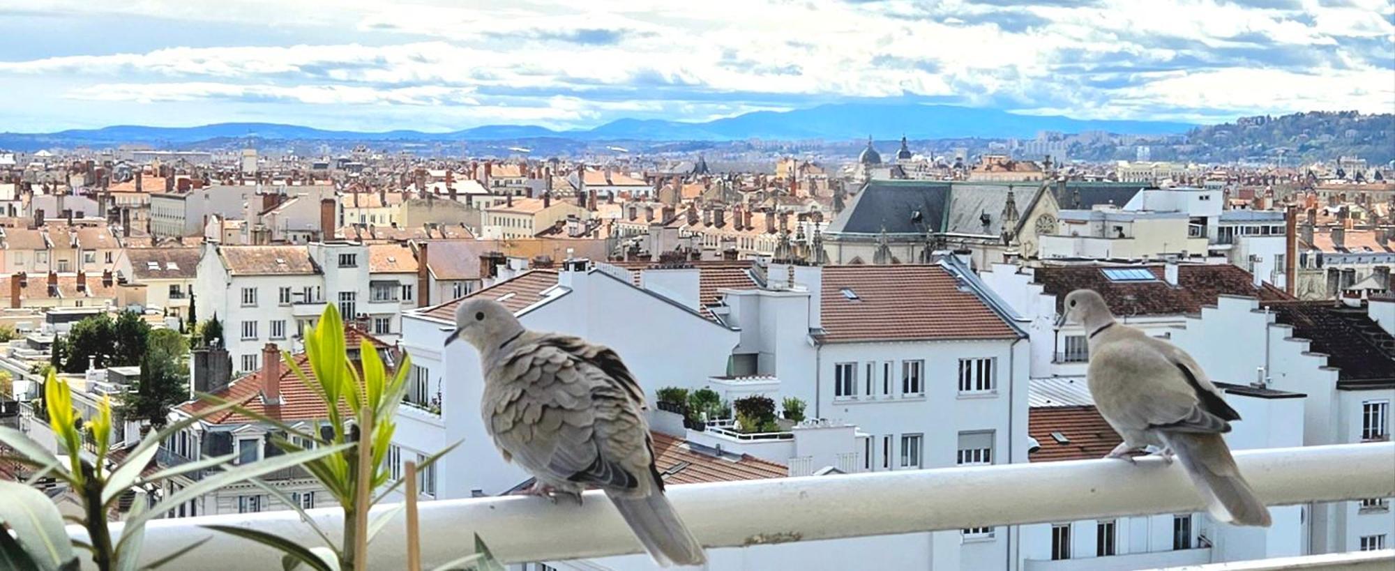 Plein Sud Terrasse Climatisation Garage Netflix Apartman Lyon Kültér fotó