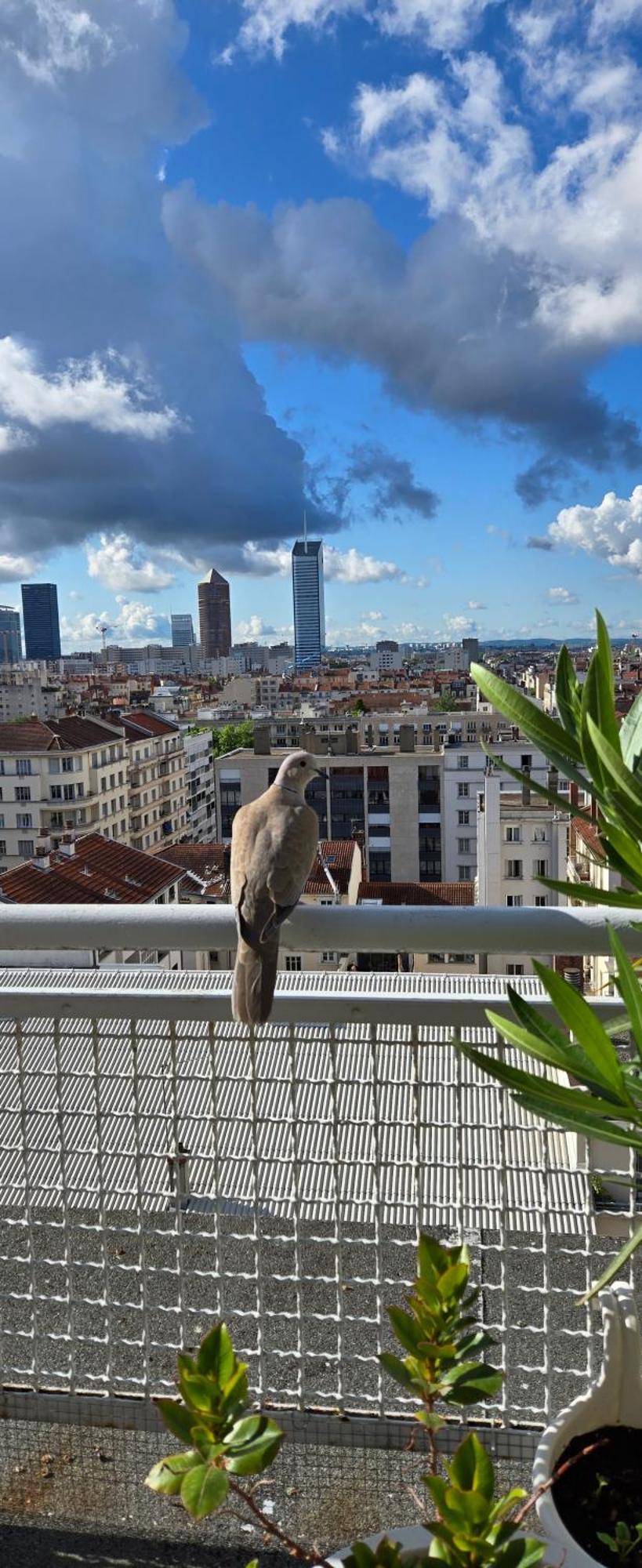 Plein Sud Terrasse Climatisation Garage Netflix Apartman Lyon Kültér fotó